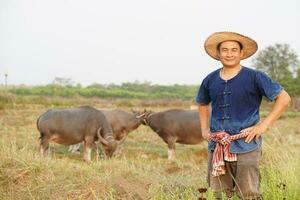 Beau asiatique homme agriculteur porte chapeau, bleu chemise, des stands à animal cultiver. concept, bétail, thaïlandais Les agriculteurs élever et prendre se soucier buffles comme économique et exportation animaux. photo