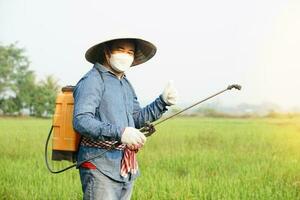 asiatique agriculteur est pulvérisation biologique engrais à paddy champ. pouce en haut. concept en utilisant amical produit avec environnement agriculture avec non produits chimiques en utilisant. sécurité avec utilisateur et environnement. photo