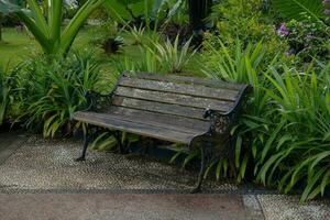 banc en bois vide dans le parc photo