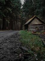 cabane en forêt photo