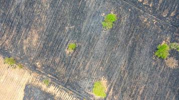 Vue aérienne sur le champ de riz en feu après la récolte photo