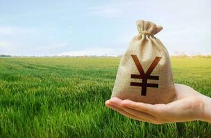 vert Prairie champ de Jeune blé et Japonais yen argent sac. monde faim. céréales céréales déficits. monde nourriture Sécurité crise, haute des prix. industrie agro-alimentaire et le agricole entreprise. photo