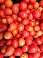 Frais reine tomates en bonne santé, nourriture photo