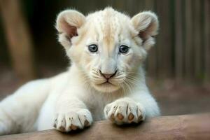 mignonne blanc lion. produire ai photo