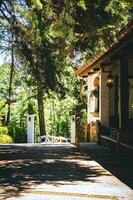 vieux maison entouré par la nature photo