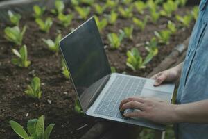 asiatique femme agriculteur en utilisant numérique tablette dans légume jardin à serre, affaires agriculture La technologie concept, qualité intelligent agriculteur. photo