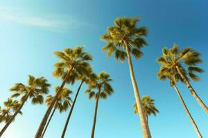 tropical paume des arbres vue bleu ciel. produire ai photo