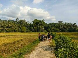 une vue de le vaste riz des champs avec nuageux ciel et Les agriculteurs et les enfants sur le rue dans blitar, Indonésie photo