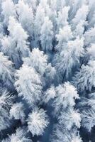 un aérien coup de beaucoup des arbres couvert dans neige. ai génératif photo