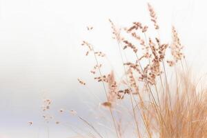 minuscule blanc herbe contre une blanc Contexte. ai génératif photo