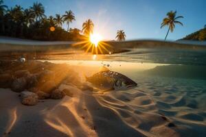 photographier de magnifique attrayant plage scène avec le coucher du soleil ciel. ai génératif photo