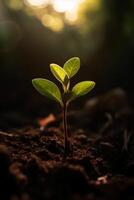 une Jeune plante croissance dans lumière du soleil. ai génératif photo