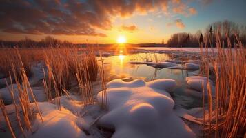 le coucher du soleil au dessus le roseaux à le bord de le lac. ai génératif photo