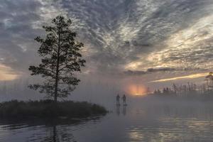 Lever du soleil au marais brumeux avec de petits arbres morts couverts tôt le matin avec des gens sur des planches sup photo