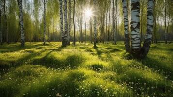 bouleau bosquet dans printemps sur ensoleillé journée avec magnifique tapis de juteux vert Jeune herbe et pissenlits dans des rayons de lumière du soleil, ai génératif photo