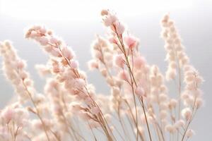 minuscule blanc herbe contre une blanc Contexte. ai génératif photo