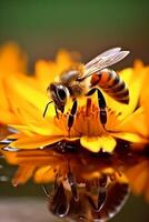 abeille séance suivant à Jaune fleur et goutte. ai génératif photo