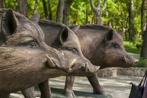 2021-05-07. Russie. kamensk-chakhtinski, rostov région. magnifique décor éléments dans le parc pour touristes. sculpture de une sauvage sanglier. photo