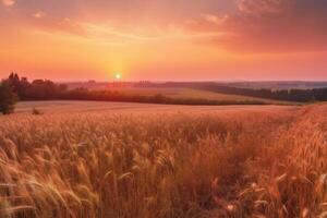 magnifique coloré Naturel panoramique paysage avec une champ de mûr blé dans le des rayons de réglage Soleil. Naturel le coucher du soleil dans d'or et rose couleurs. ai génératif photo