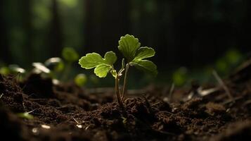 une Jeune plante croissance dans lumière du soleil. ai génératif photo