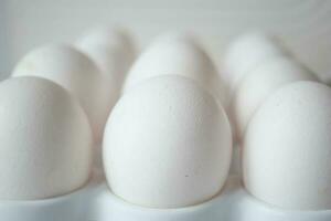 gros plan d'œufs dans un bol. photo