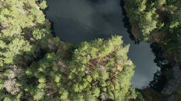 Lac entouré par des arbres. magnifique paysage dans aérien drone tir. photo