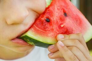 enfant garçon en mangeant une tranche de pastèque proche sur une Contexte de vert herbe photo