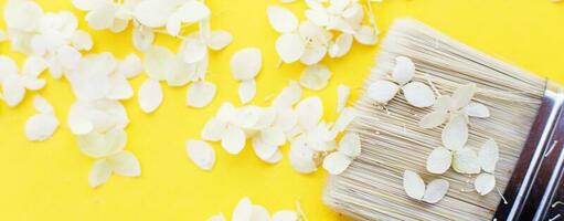 fleurs d'hortensia blanches et pinceau sur fond jaune avec espace de copie. photo