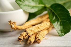 ginseng, herbe végétale séchée. aliments sains aliments d'exportation célèbres dans le pays de la corée. photo