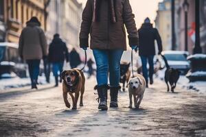 en marchant le pack tableau de chiens, marchait par Célibataire la personne dans le Contexte sur ville trottoir. ai généré photo