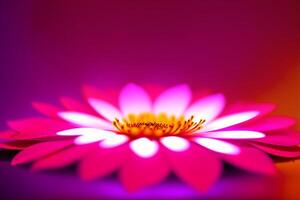 magnifique embrasé fleurs. aurore fleurit. le fascinant lueur de fleurs. génératif ai photo