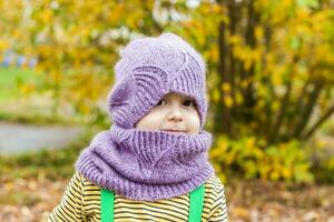 une enfant dans une violet tricoté chapeau et foulard. portrait de une enfant contre le Contexte de l'automne des arbres. mignonne souriant garçon. photo