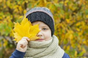 l'automne ambiance. le garçon est en portant Jaune érable feuilles cette couverture partie de le sien visage donc cette seulement un œil est visible. photo