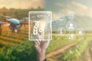 intelligent agriculture en utilisant iot l'Internet de en pensant La technologie et une analyse avec ai artificiel intelligence Aidez-moi à amélioration, recherche et développement productivité de agriculture. photo