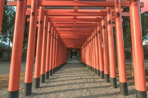 tunnel de torri porte dans Japonais tombeau photo