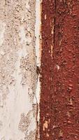texture du bois brun vertical photo