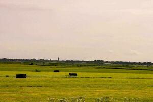 vue paysage rural photo