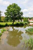 vue panoramique sur la rivière photo