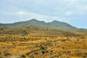 paysage de montagne pittoresque photo