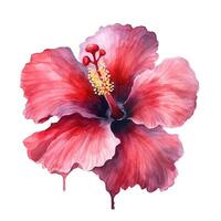 rouge hibiscus fleur aquarelle. illustration ai génératif photo