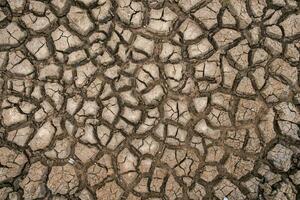 climat sécheresse, terrain fissuré sol dans chaud temps photo