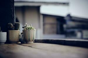 cactus sur une en bois terrasse avec une solitaire atmosphère. spectaculaire Ton photo