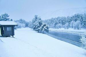 hiver paysage dans Scandinavie. avec neige couvert des arbres sur une route. paysage photo