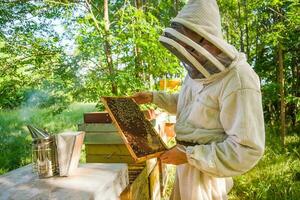 apiculteur est examiner le sien ruches dans forêt. apiculture professionnel profession. photo