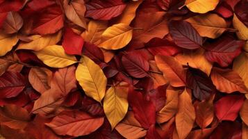 l'automne chute feuilles Contexte. illustration ai génératif photo