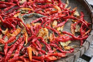 séché rouge piments pour durabilité et sont communément utilisé pour en poudre piments. photo