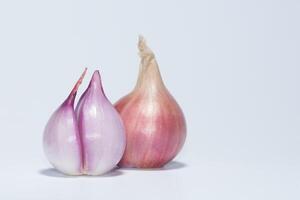 Oignon rouge allium ascalonicum fond blanc photo