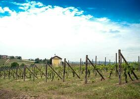 magnifique vignobles dans costigliole d'asti, dans le piémontais langhe sur une printemps journée dans 2023 photo