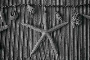 intéressant original bord de mer décoration avec coquilles et étoiles de mer sur une doublé Contexte photo