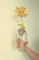 Jaune d'or l'automne chêne feuille sur une branche dans une verre transparent vase avec une cœur tenue dans le main de une enfant photo
